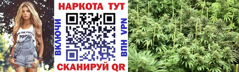 Где купить Морозовск КОКАИН ГАШИШ Бошки Шишки