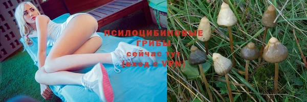 дурь Арсеньев