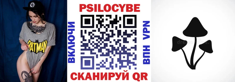 закладки  Морозовск  Псилоцибиновые грибы мицелий 